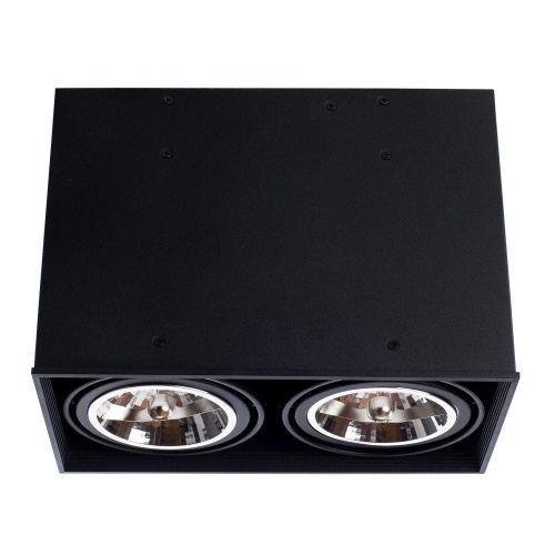 Потолочный светильник Arte Lamp Cardani A5936PL-2BK Потолочный светильник Arte Lamp Cardani A5936PL-2BK