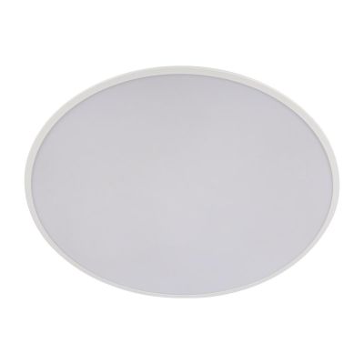 Потолочный светодиодный светильник Loft IT Brim 10226 White