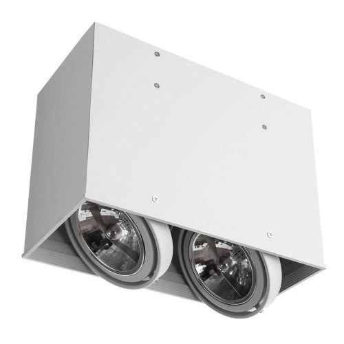 Потолочный светильник Arte Lamp Cardani A5936PL-2WH Потолочный светильник Arte Lamp Cardani A5936PL-2WH