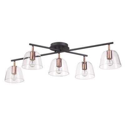 Потолочная люстра Lumion Moderni Joseph 4455/5C