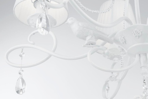 Подвесная люстра Maytoni Passarinho ARM001-06-W