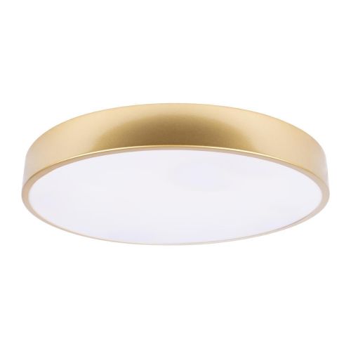 Потолочный светодиодный светильник Loft IT Flims 10228/A