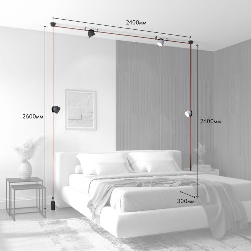 Трековая ременная система Denkirs Belty Set DK55SET16-01-BR