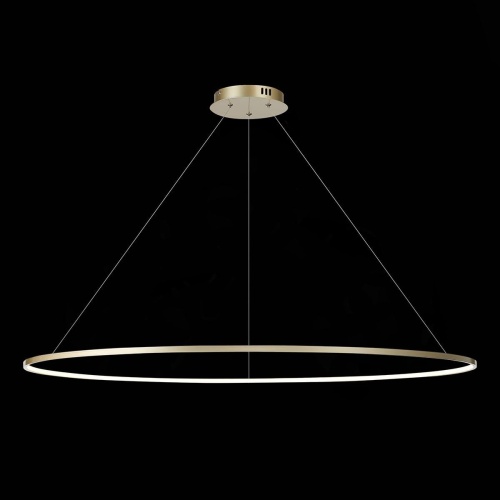 Подвесной светодиодный светильник ST Luce Erto SL904.233.01