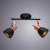 Спот Arte Lamp A1677PL-2BK Спот Arte Lamp A1677PL-2BK