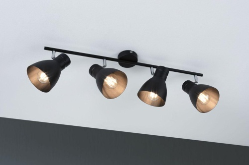 Спот Paulmann Davy 66762