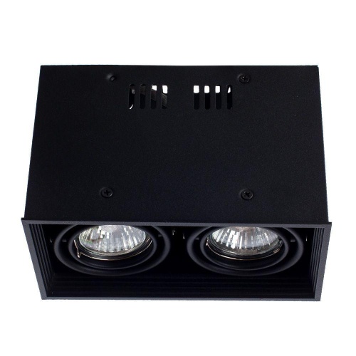 Потолочный светильник Arte Lamp Cardani A5942PL-2BK Потолочный светильник Arte Lamp Cardani A5942PL-2BK