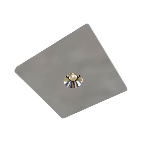 Потолочный светодиодный светильник Loft IT Architect OL1072-GH/1