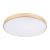 Потолочный светодиодный светильник Loft IT Flims 10228/B