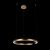 Подвесной светодиодный светильник Loft IT Ring 10013L