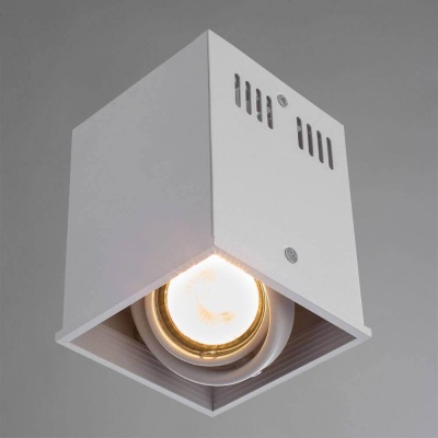 Потолочный светильник Arte Lamp Cardani A5942PL-1WH Потолочный светильник Arte Lamp Cardani A5942PL-1WH