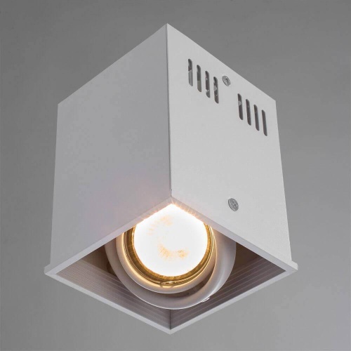 Потолочный светильник Arte Lamp Cardani A5942PL-1WH Потолочный светильник Arte Lamp Cardani A5942PL-1WH