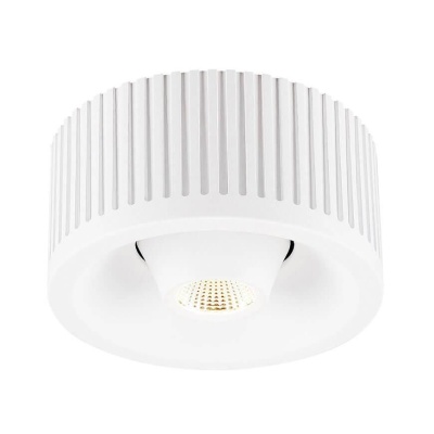 Потолочный светодиодный светильник SLV Occuldas 13 Move 117361