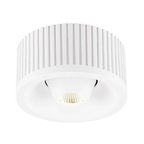 Потолочный светодиодный светильник SLV Occuldas 13 Move 117361