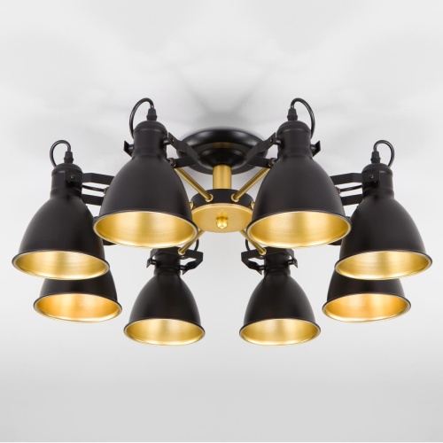 Потолочная люстра Eurosvet Denley 70112/8 черный