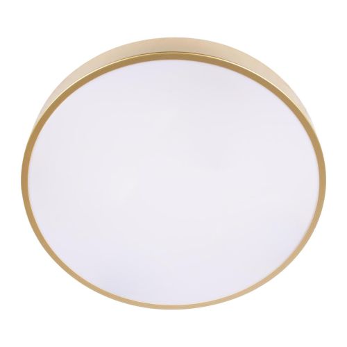 Потолочный светодиодный светильник Loft IT Flims 10228/A