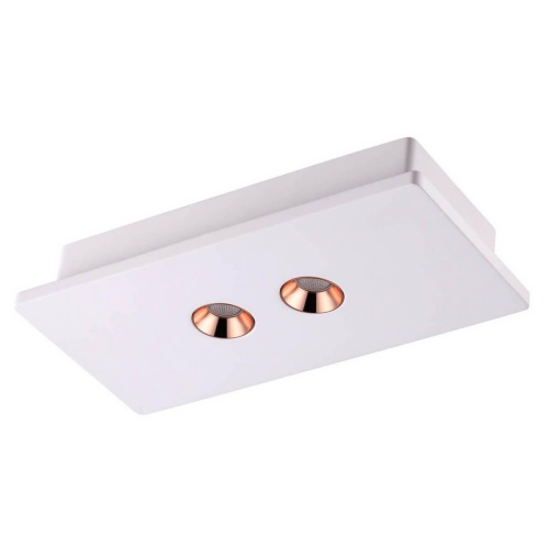 Потолочный светодиодный светильник Novotech Caro Over 357939