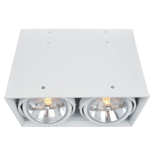 Потолочный светильник Arte Lamp Cardani A5936PL-2WH Потолочный светильник Arte Lamp Cardani A5936PL-2WH
