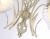 Потолочная люстра Ambrella light Traditional TR3066 Потолочная люстра Ambrella light Traditional TR3066