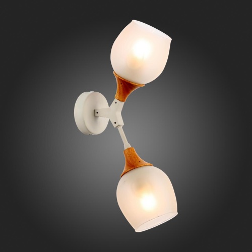 Бра Evoluce Ciotolla SLE113501-02