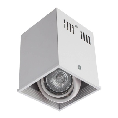 Потолочный светильник Arte Lamp Cardani A5942PL-1WH Потолочный светильник Arte Lamp Cardani A5942PL-1WH