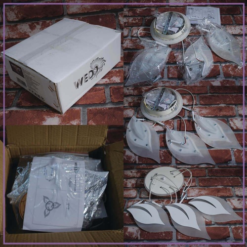 Потолочная люстра Seven Fires Omenya 75391.01.09.03