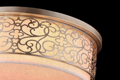 Потолочный светильник Maytoni Venera H260-05-N