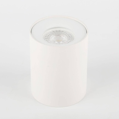 Потолочный светильник ЭРА OL1 GU10 WH Б0041503