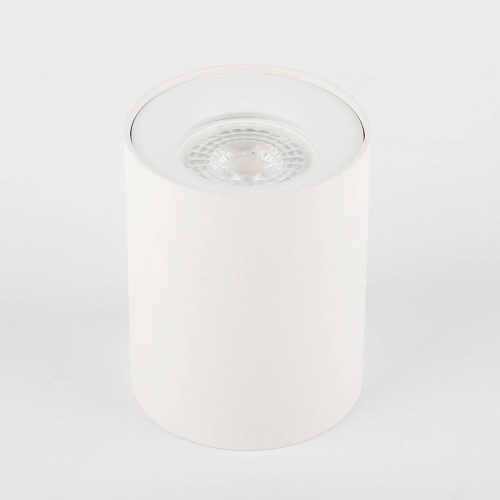 Потолочный светильник ЭРА OL1 GU10 WH Б0041503