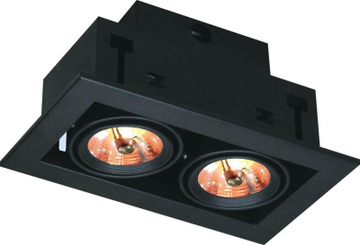 Встраиваемый светильник Arte Lamp Technika A5930PL-2BK