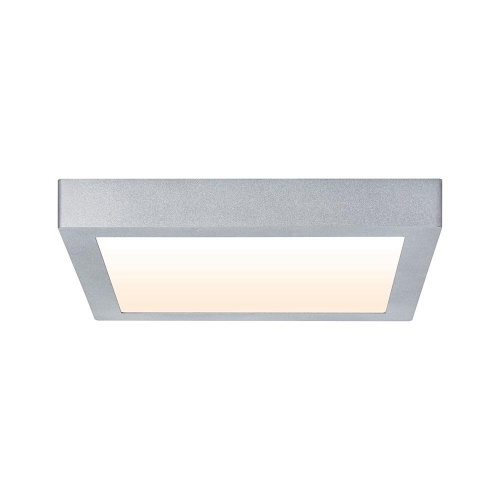 Потолочный светодиодный светильник Paulmann Carpo 79800