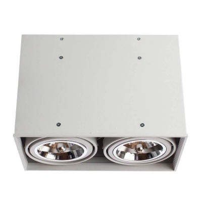 Потолочный светильник Arte Lamp Cardani A5936PL-2WH Потолочный светильник Arte Lamp Cardani A5936PL-2WH