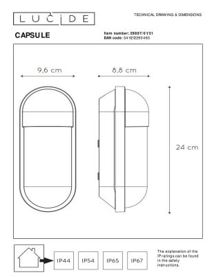 Уличный настенный светильник Lucide Capsule 29897/01/31