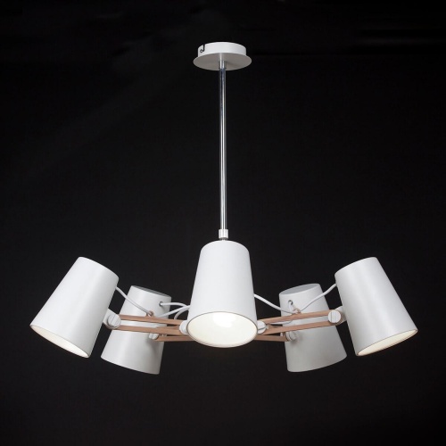 Подвесная люстра Mantra Looker 3770