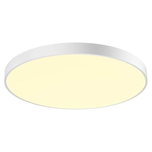 Потолочный светодиодный светильник SLV Medo 1001891