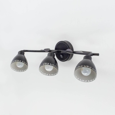 Спот Citilux Робуста CL509532