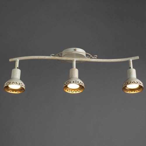 Спот Arte Lamp Focus A5219PL-3WG