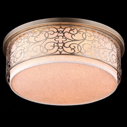 Потолочный светильник Maytoni Venera H260-05-N