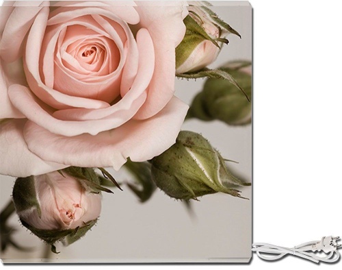 Обогреватель СТЕП-250/0,59 х 0,59 УФ-печать