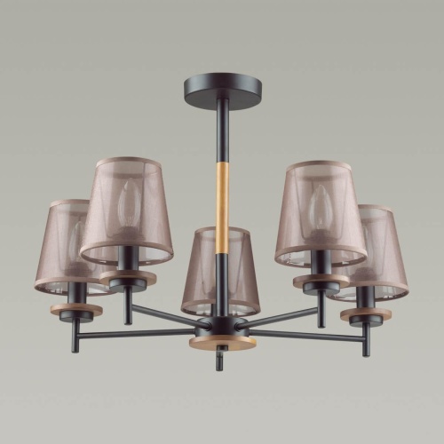 Потолочная люстра Lumion County Betsy 4498/5C