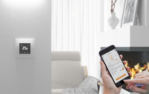 Терморегулятор EcoSmart 25