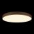 Потолочный светодиодный светильник Loft IT Flims 10228/B