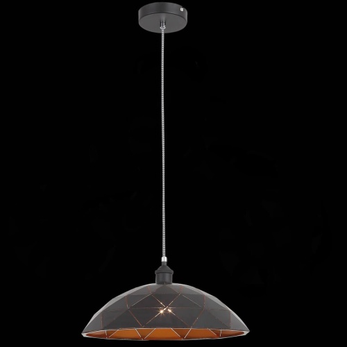 Подвесной светильник ST Luce Enigma SL258.443.01