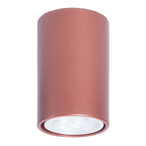 Потолочный светильник TopDecor Tubo6 P1 20 Потолочный светильник TopDecor Tubo6 P1 20