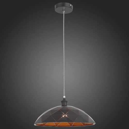 Подвесной светильник ST Luce Enigma SL258.443.01