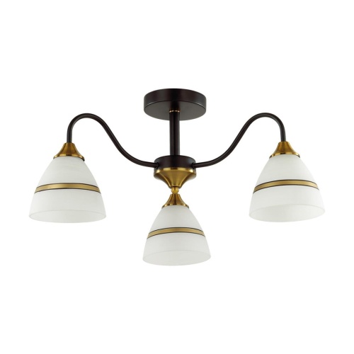 Потолочная люстра Lumion Comfi Nettie 5214/3C
