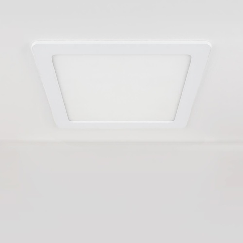 Встраиваемый светодиодный светильник Elektrostandard DLS003 24W 4200K a034919