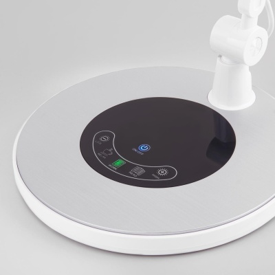 Настольная лампа Elektrostandard 80420/1 серебристый 4690389142291