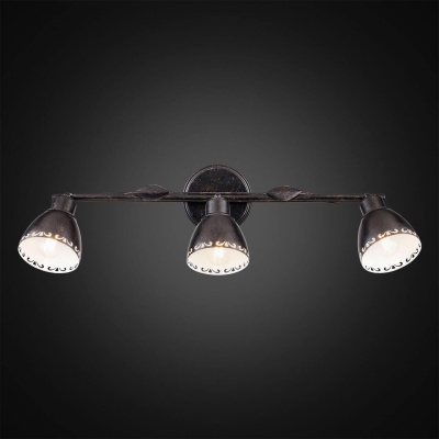 Спот Citilux Робуста CL509532