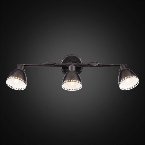 Спот Citilux Робуста CL509532